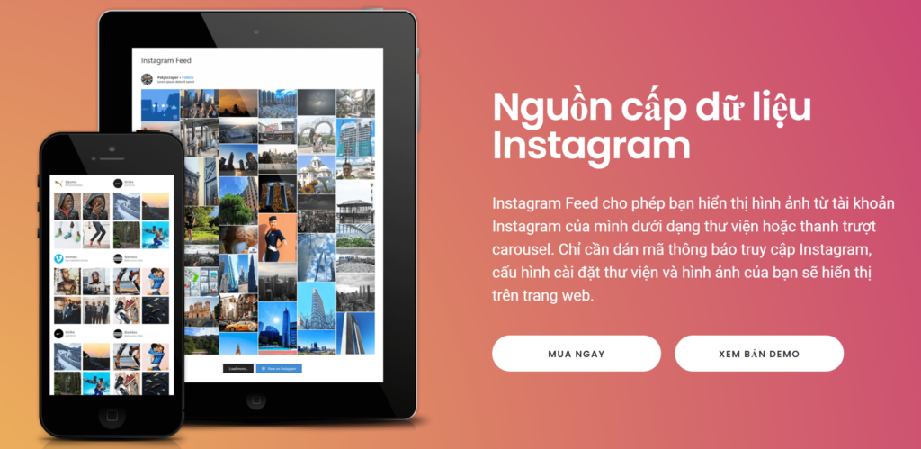 AccessPress Themes Social Feed Gallery PRO - Plugins Social-Feed