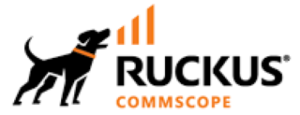 Ruckus Networks